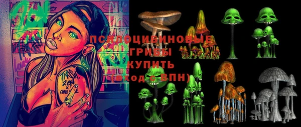 спайс Алексеевка