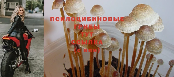 MDMA Алзамай